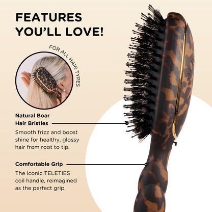 Boar Brush | Full Size | Tortoise