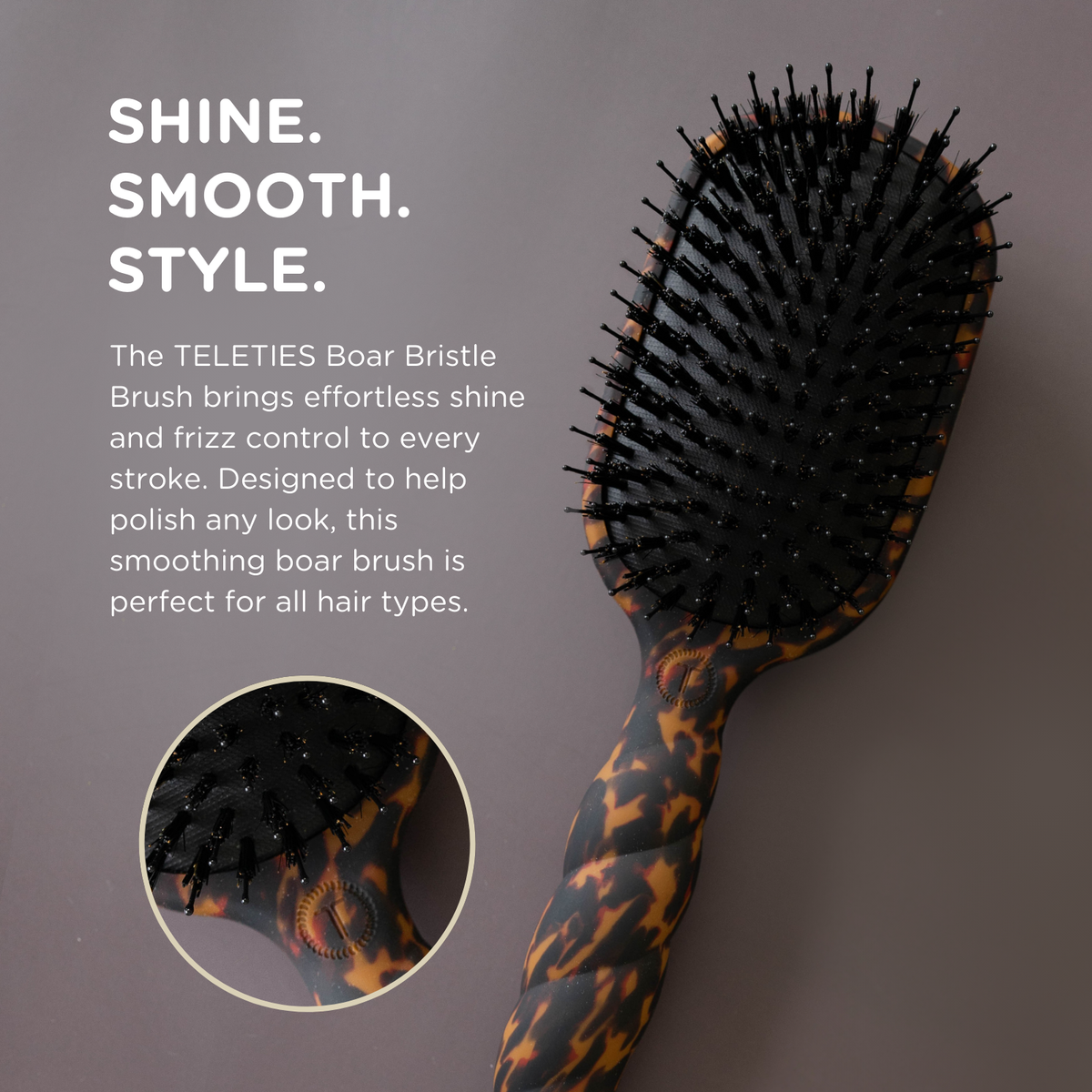 Boar Brush | Full Size | Tortoise