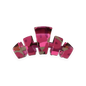 Classic Garden Glam Small Claw Clip