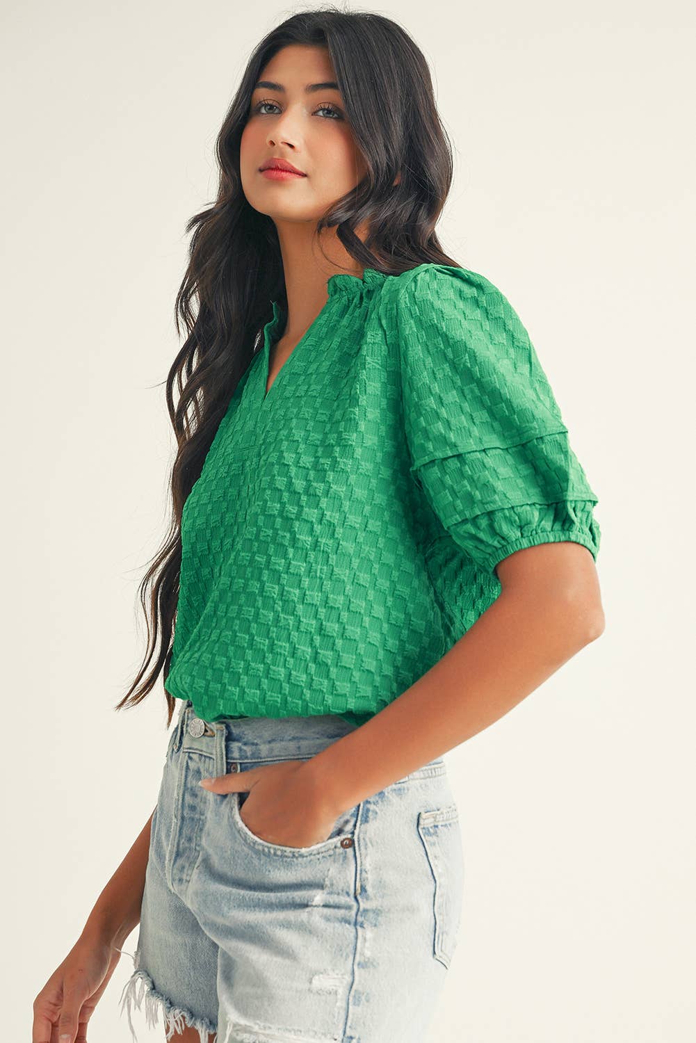Bridget  Textured Puff Short Sleeve Notched V Neck Top