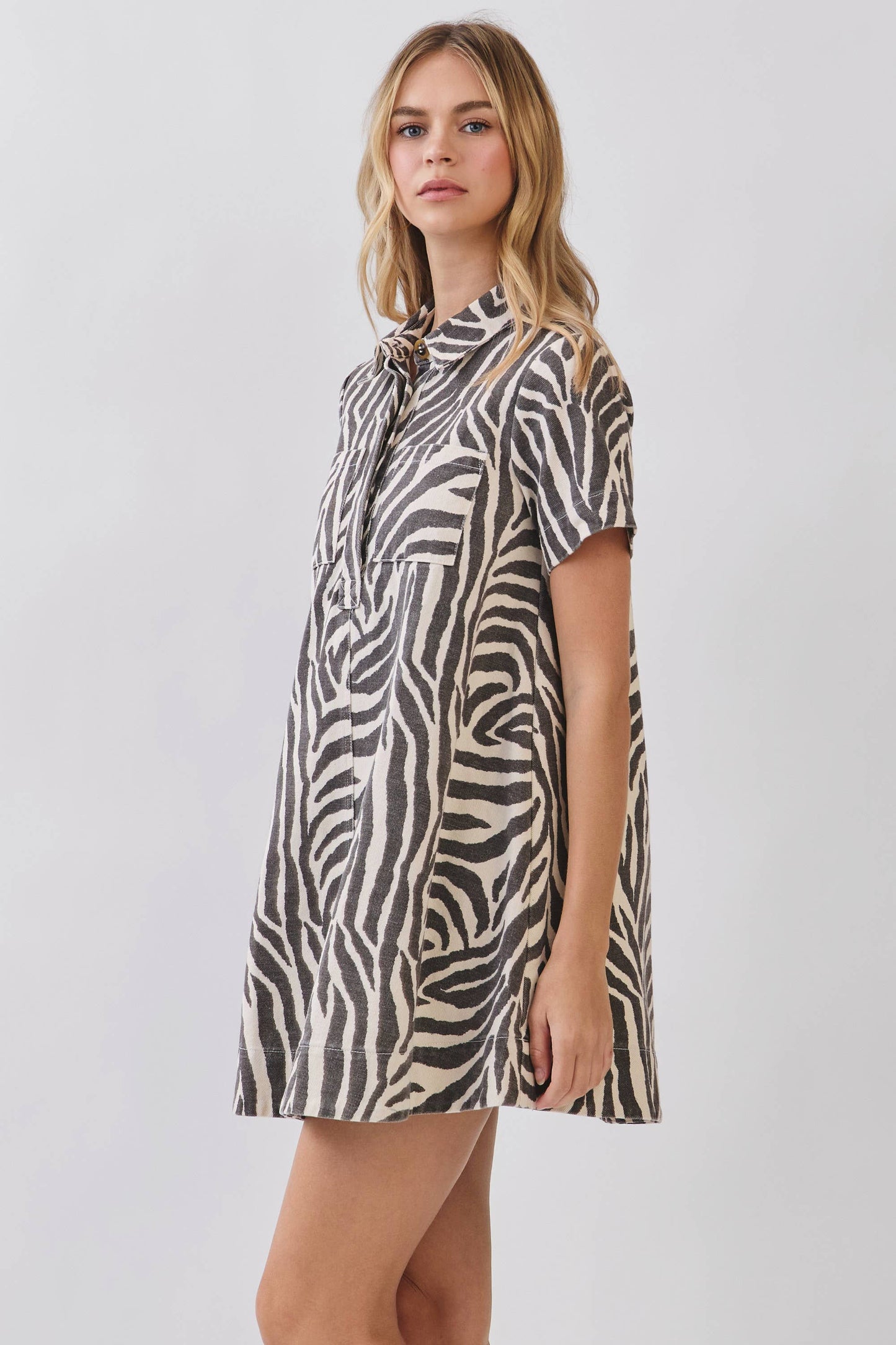 Jenny Mini Zebra Print Button Down Collared Dress
