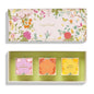 Garden Party 2026 3pc Bento Box